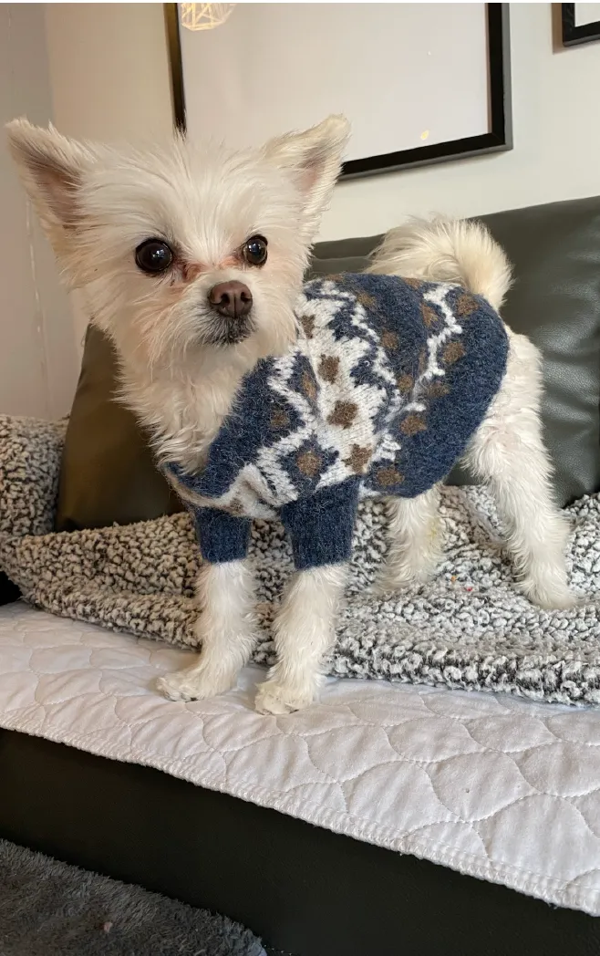 Après-ski Dog Sweater