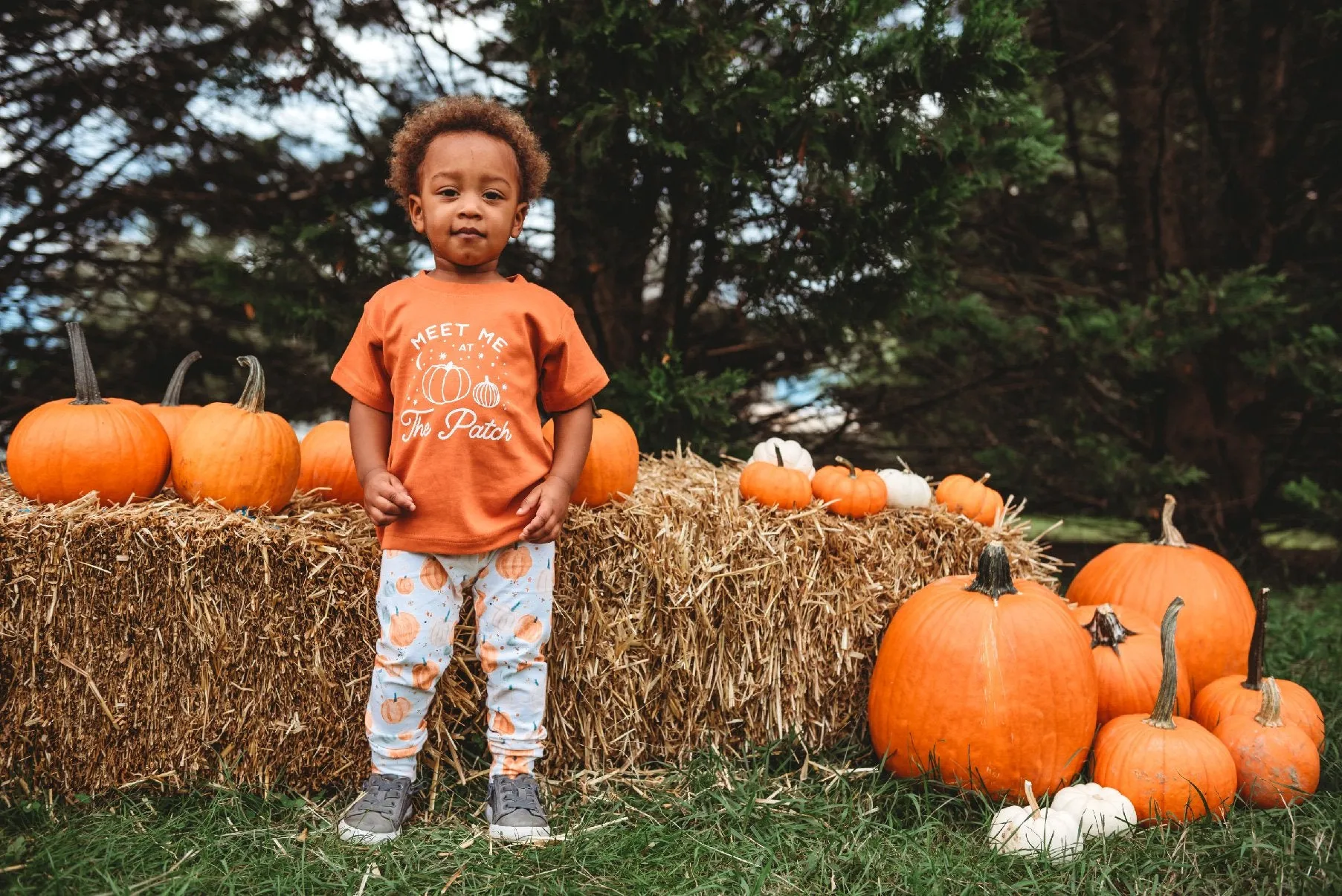 Pumpkins & Stardust Leggings